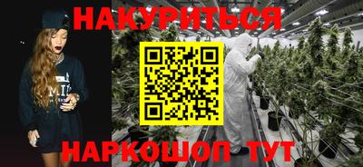 крисы Пенза