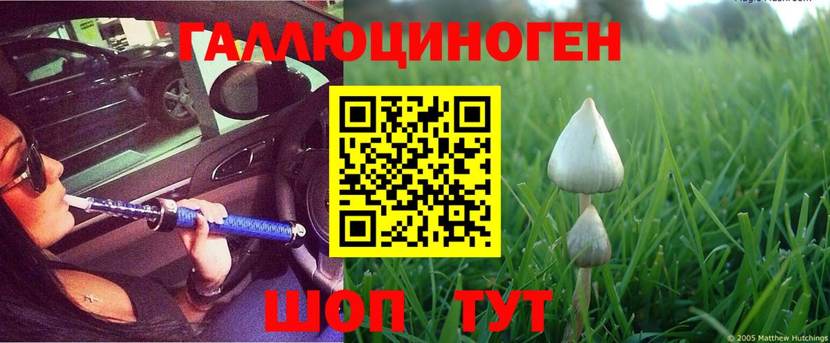 Реутов  Галлюциногенные грибы Cubensis  Вход с VPN 